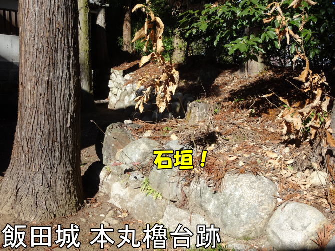 �ѓc��{�ۘE��Ղ̐Ί_