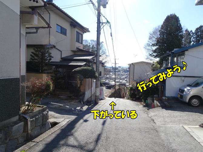 �ѓc�隬���̎���ւ̓�