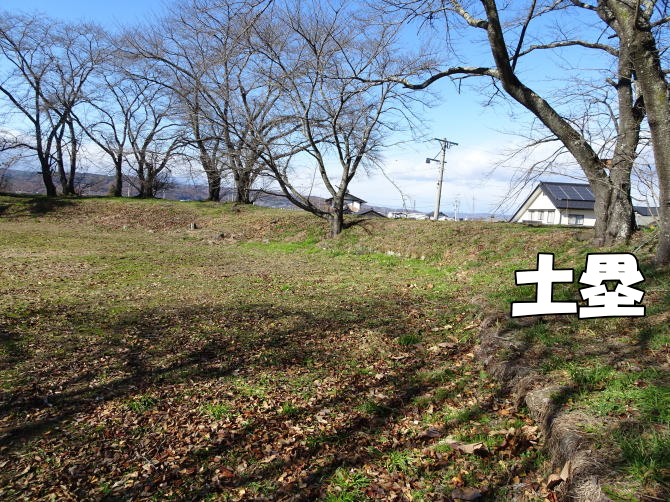 ������̓y��