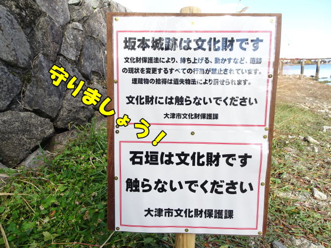 ���q���G�̋��邾�������ꌧ��Îs�̍�{��̔��i�΂ɒ��񂾐Ί_�ւ̒��ӎ���