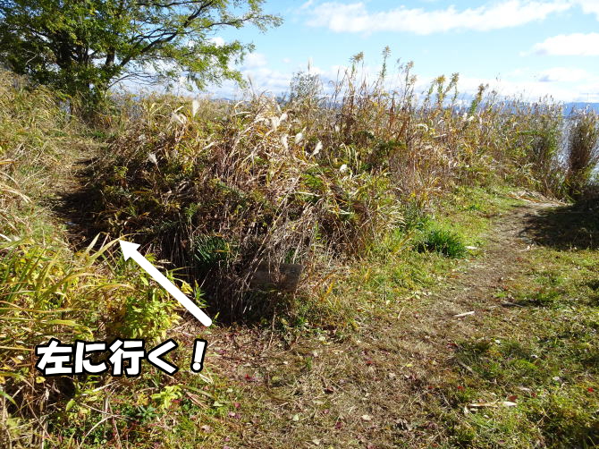 ���q���G�̋��邾�������ꌧ��Îs�̍�{��̔��i�΂ɒ��񂾐Ί_�ւ̍s�����ē��i4�j