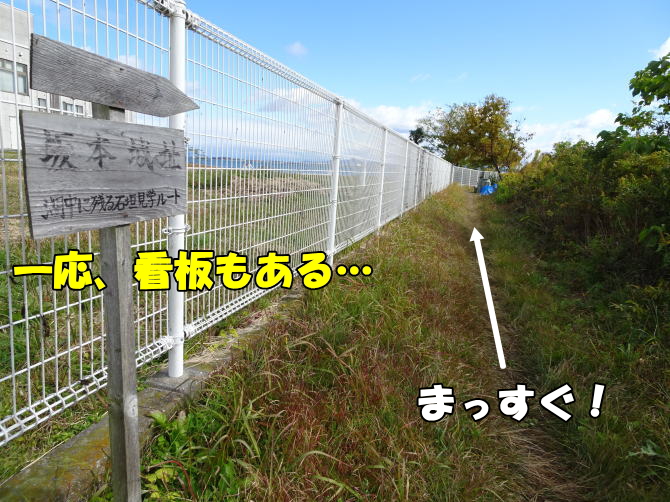 ���q���G�̋��邾�������ꌧ��Îs�̍�{��̔��i�΂ɒ��񂾐Ί_�ւ̍s�����ē��i3�j