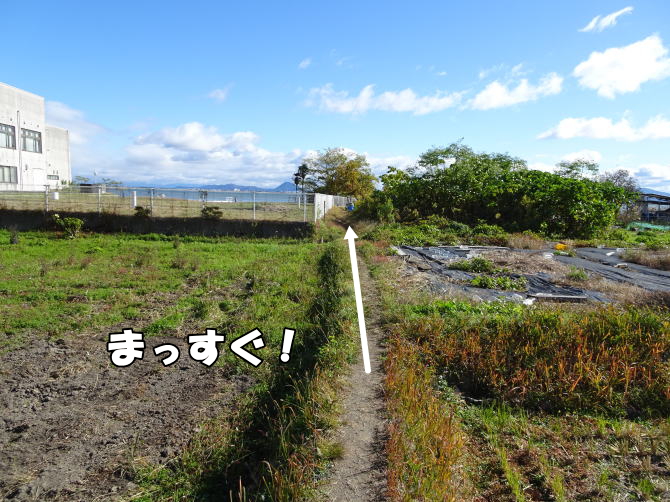 ���q���G�̋��邾�������ꌧ��Îs�̍�{��̔��i�΂ɒ��񂾐Ί_�ւ̍s�����ē��i2�j