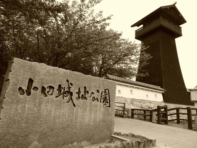 ������̏�����